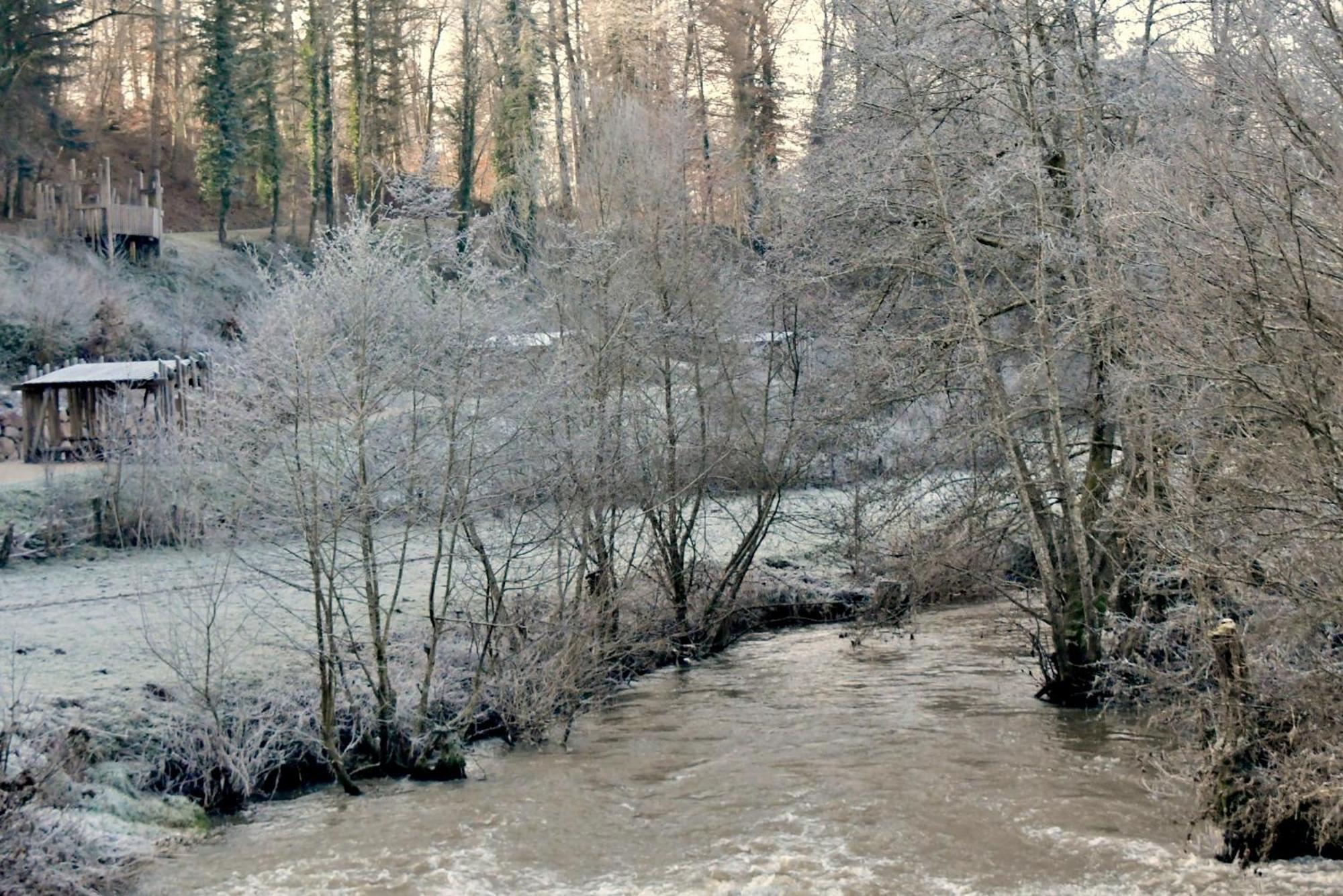 Gite Coeurdacier Monthureux-sur-Saône エクステリア 写真