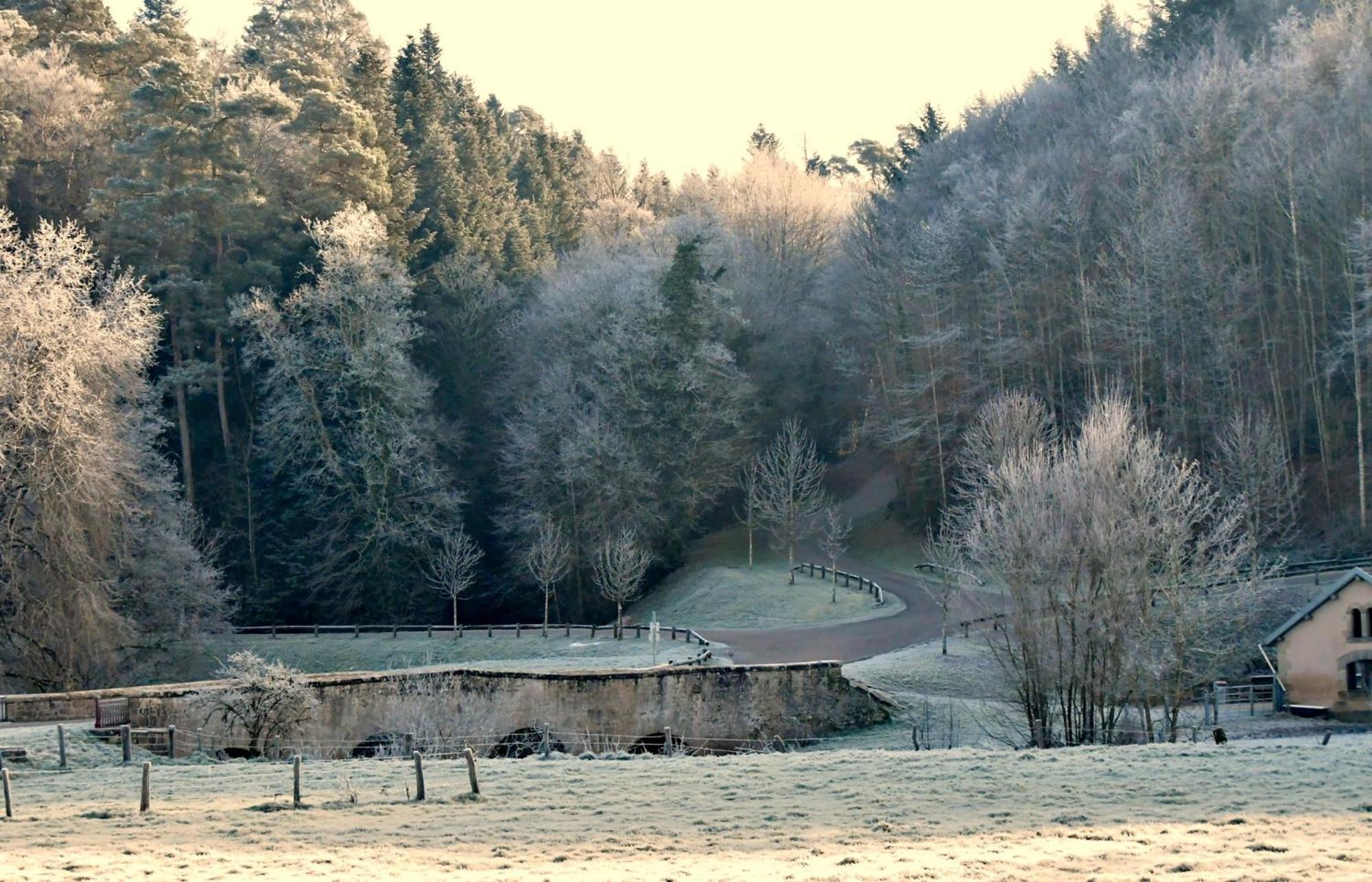 Gite Coeurdacier Monthureux-sur-Saône エクステリア 写真
